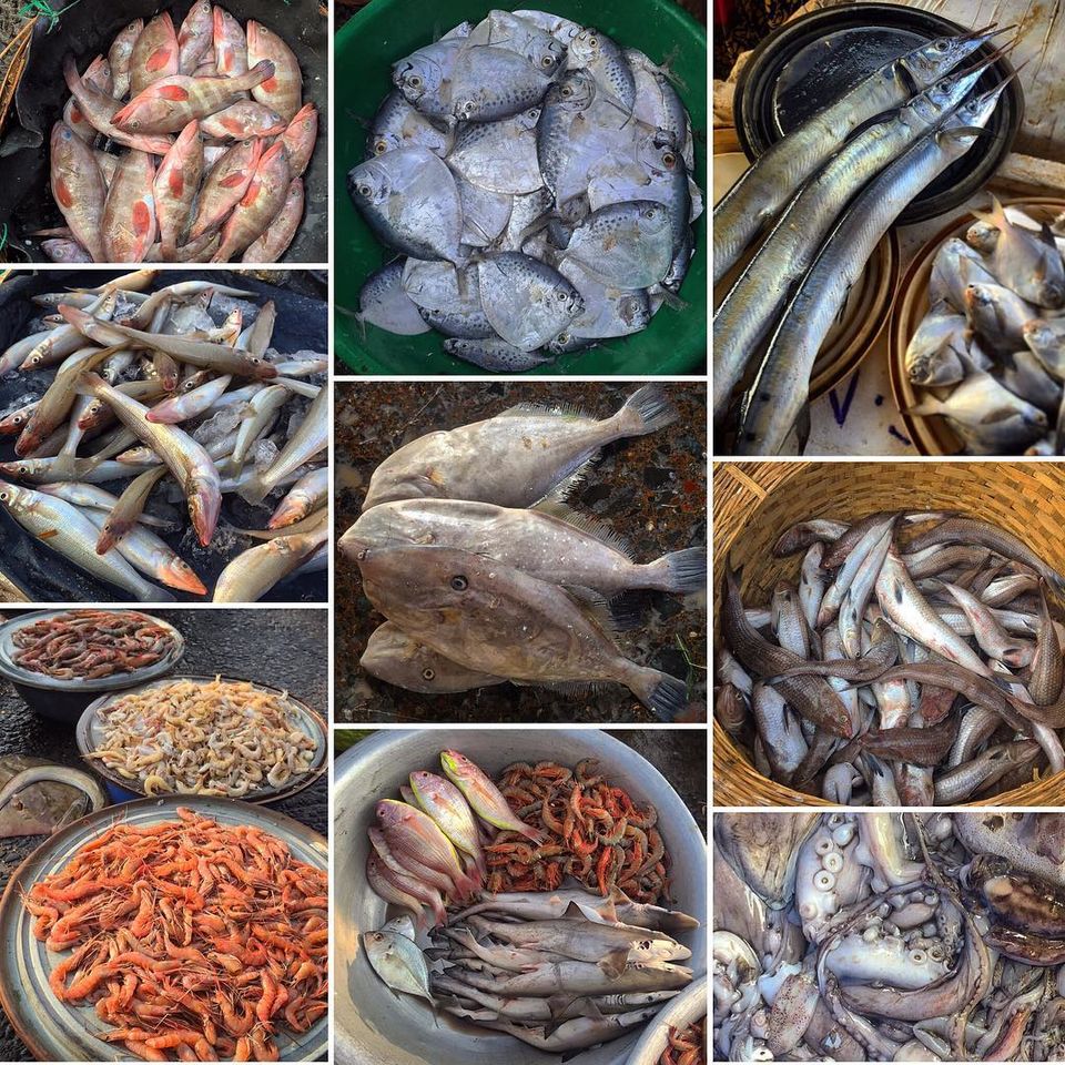 Photo of Sassoon Dock Local Fish Market, Sassoon Dock Road, Azad Nagar, Colaba, Mumbai, Maharashtra, India by रोशन सास्तिक