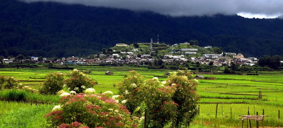 Photo of ZIRO VALLEY TOURISM - ARUNACHAL PRADESH, Laxmi Nath Bezbaruah Path, Beltola Tiniali, Guwahati, Assam, India by रोशन सास्तिक
