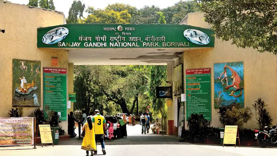 Photo of Sanjay Gandhi National Park, Mumbai, Maharashtra, India by रोशन सास्तिक