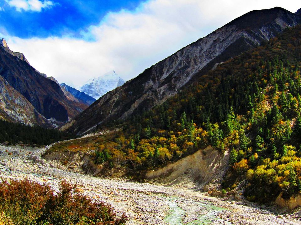 Photo of Gaumukh tapovan base camp trek by Prakash Singh Bora