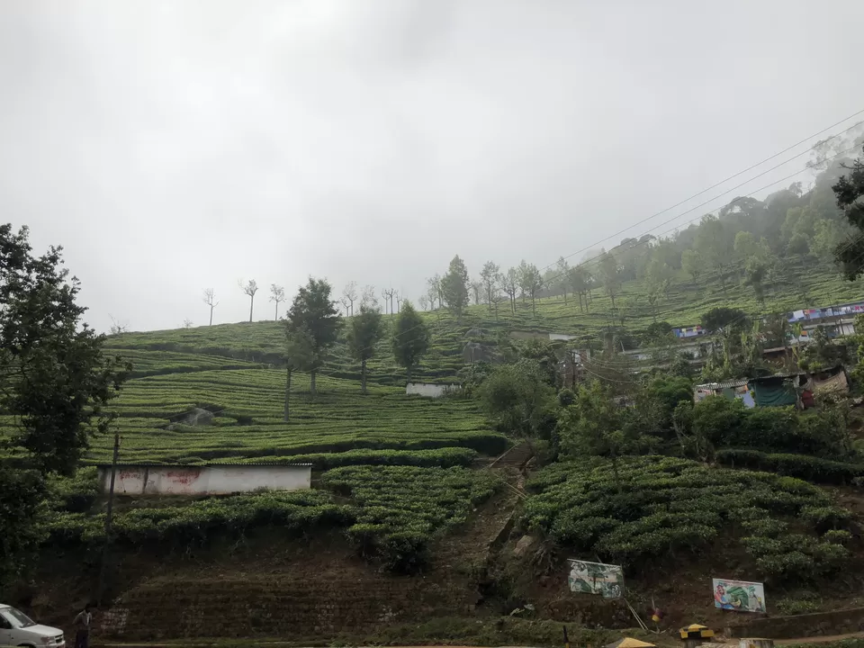 Photo of Ooty, Tamil Nadu, India by sonal koshta