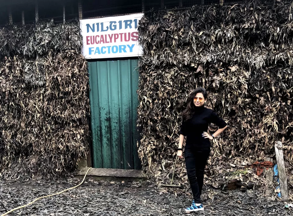 Photo of Nilgiri Shopping Mall, Ooty Main Road, Gandhipuram, Glendale, Tamil Nadu, India by sonal koshta