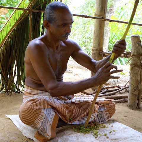 Photo of Bentota – Living Heaven in Sri Lanka. 2/6 by Manthan Rajput