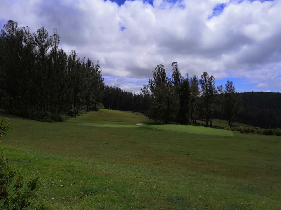 Photo of Pine Forest Shooting Spot, Ooty Main Road, Tamil Nadu, India by Aparajita
