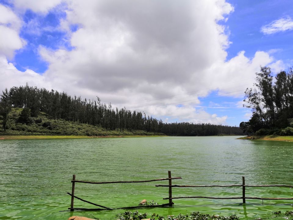 Photo of Pine Forest Shooting Spot, Ooty Main Road, Tamil Nadu, India by Aparajita
