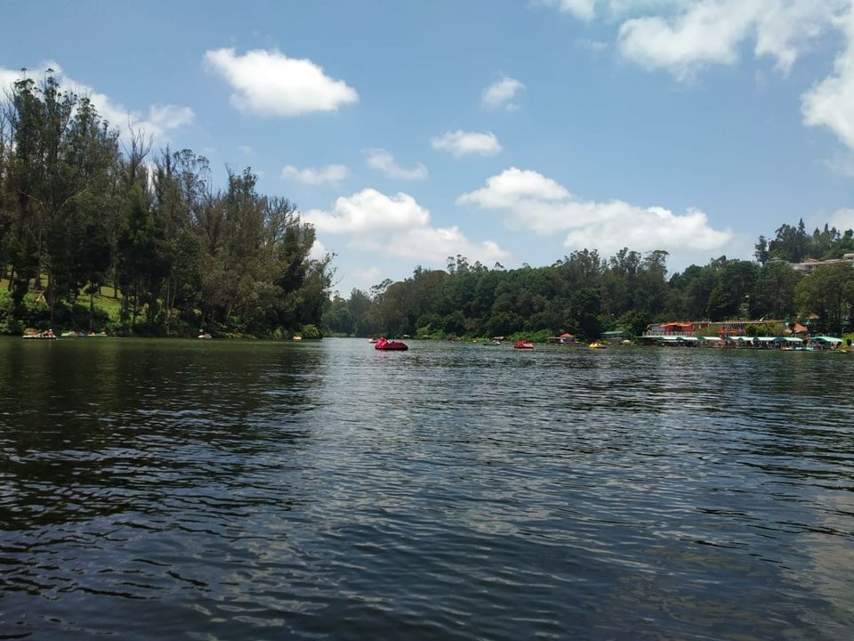 Photo of Ooty Lake, West Mere, Ooty, Tamil Nadu by Aparajita