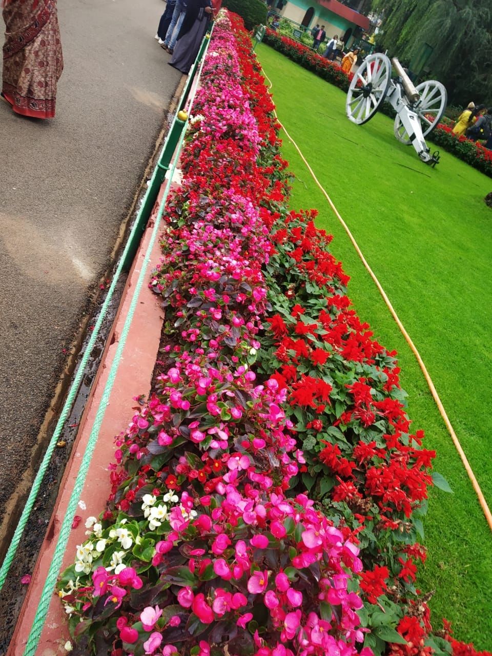 Photo of Government Botanical Garden, Vannarapettai, Ooty, Tamil Nadu, India by Aparajita