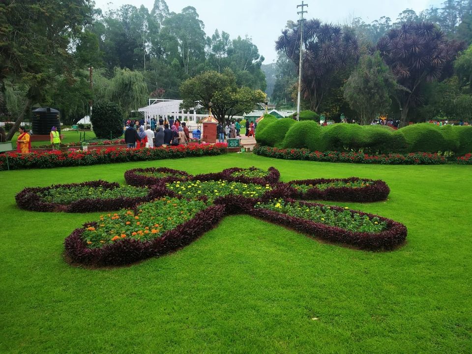 Photo of Government Botanical Garden, Vannarapettai, Ooty, Tamil Nadu, India by Aparajita