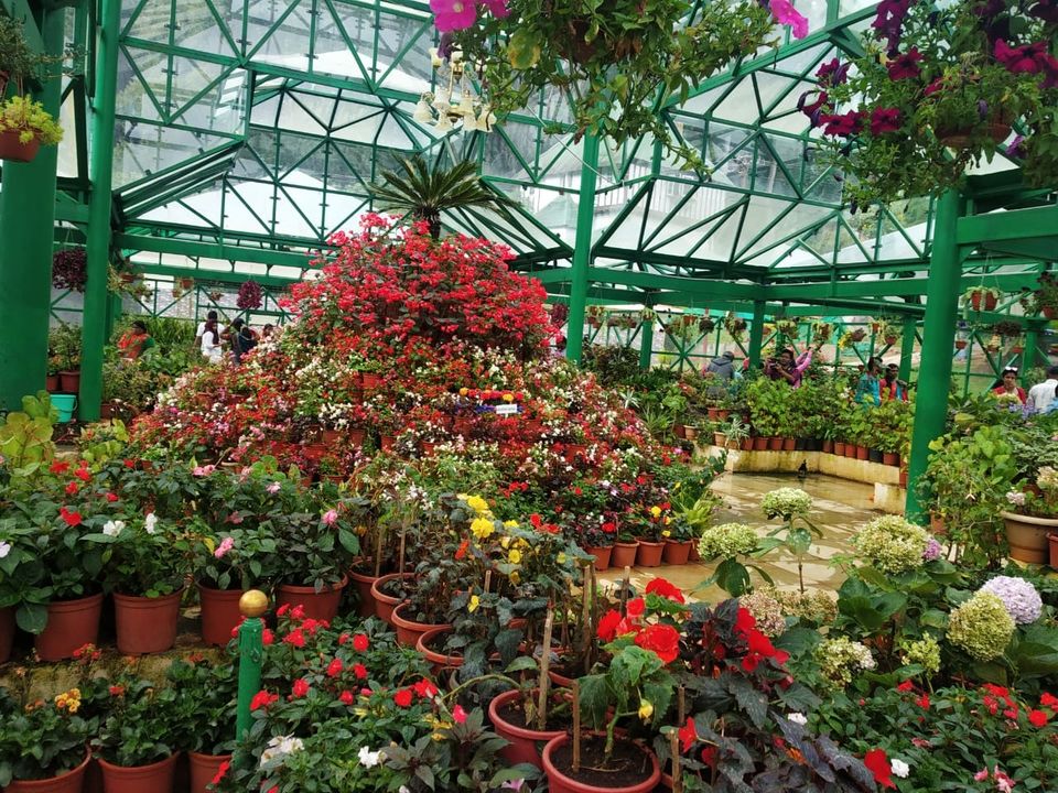 Photo of Government Botanical Garden, Vannarapettai, Ooty, Tamil Nadu, India by Aparajita