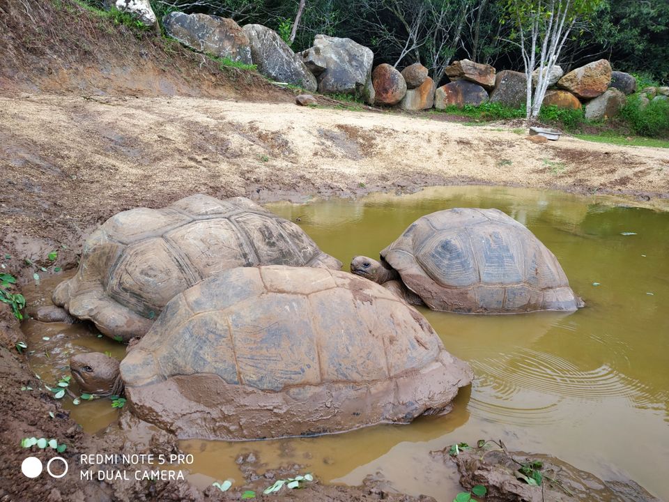 Photo of La Vallee Des Couleurs Nature Park, Chamouny Road, Chamouny, Mauritius by Aparajita