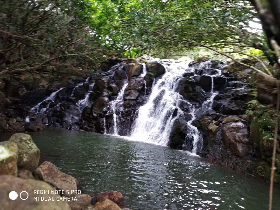 Photo of La Vallee Des Couleurs Nature Park, Chamouny Road, Chamouny, Mauritius by Aparajita