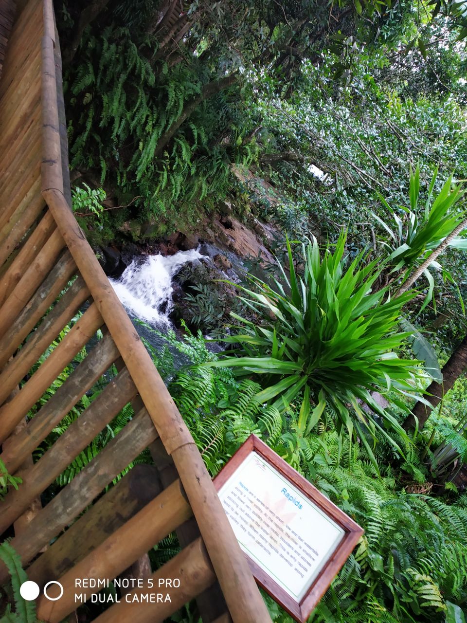 Photo of La Vallee Des Couleurs Nature Park, Chamouny Road, Chamouny, Mauritius by Aparajita