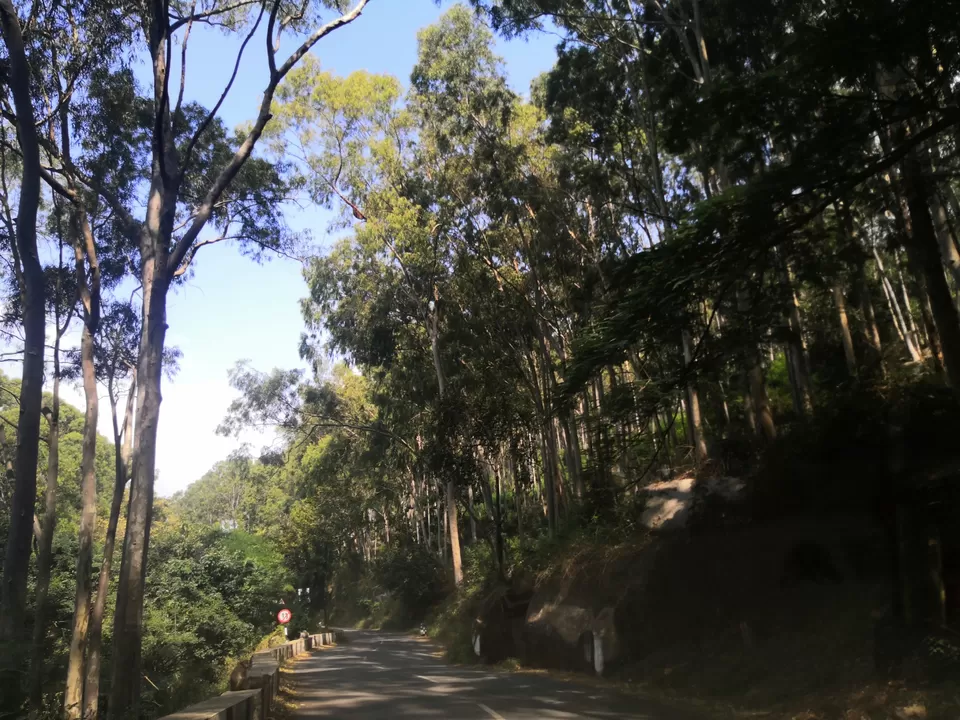Photo of Mesmerizing Views and Hairpin Bends: A Day Trip to Yelagiri from Bangalore by Aparajita
