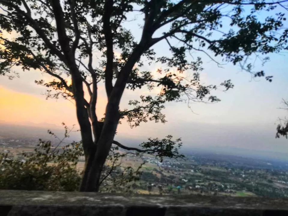Photo of Mesmerizing Views and Hairpin Bends: A Day Trip to Yelagiri from Bangalore by Aparajita