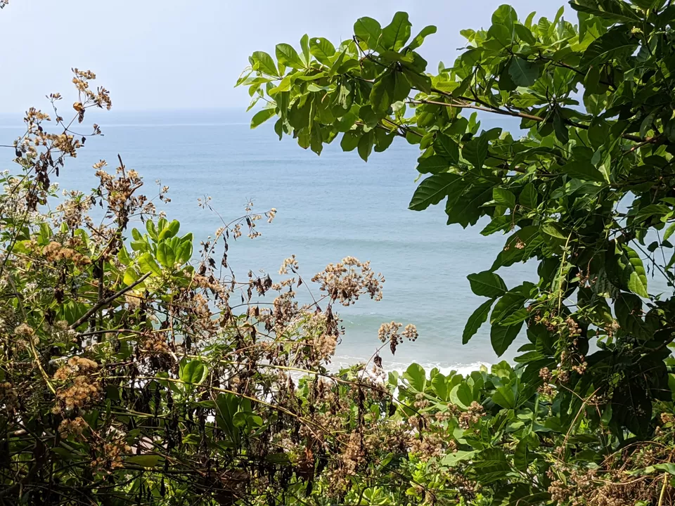 Photo of Varkala Inspired me to Embrace Slow Travel by Aparajita