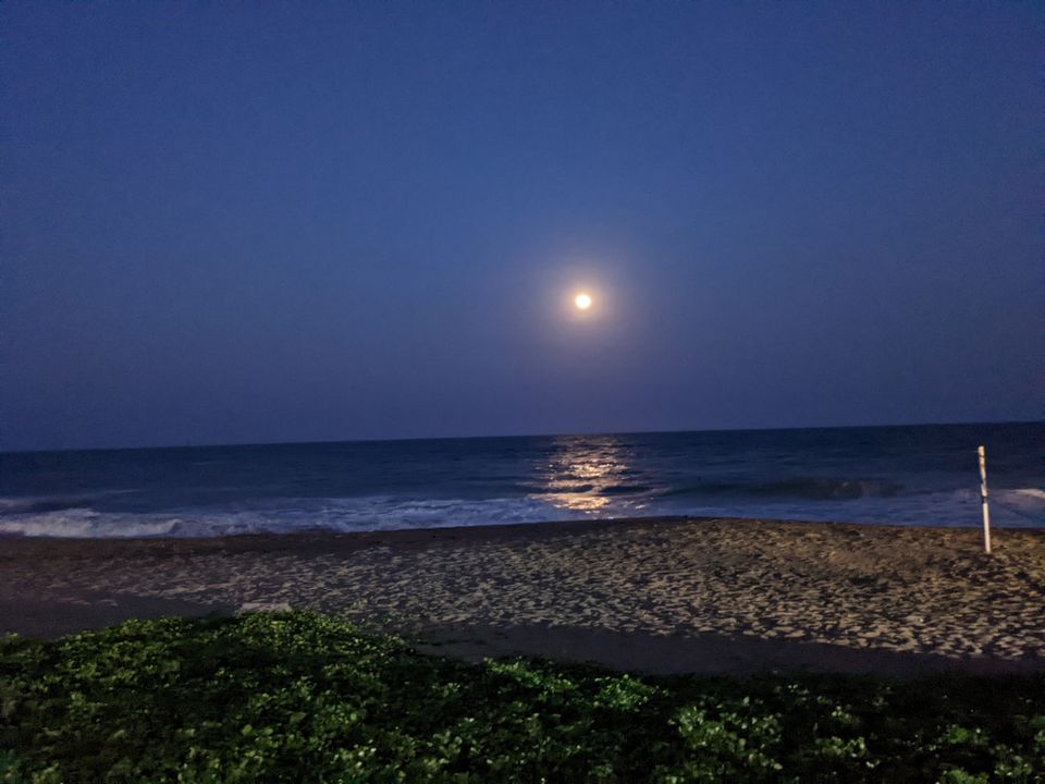 Photo of The Best Of Beaches, Temples & Food: A Roadtrip From Bangalore To Pondicherry & Mahabalipuram by Aparajita