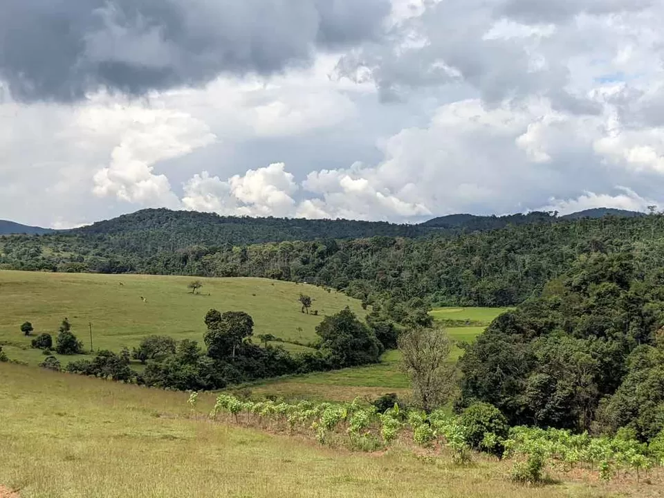 Photo of Bisle Ghat View Point, Bisle Ghat Road, Bisle State Forest, Karnataka, India by Aparajita