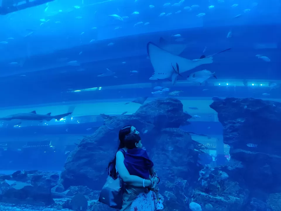 Photo of Dubai Aquarium & Underwater Zoo by Aparajita