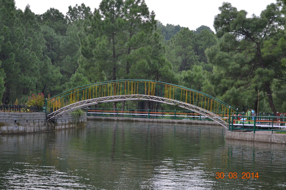 Photo of Saurabh Van Vihar, Bundla Kandi Road, Uwarna, Palampur, Himachal Pradesh, India by Aparajita