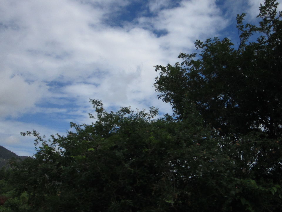 Photo of Nandi Hills, Karnataka, India by Aparajita