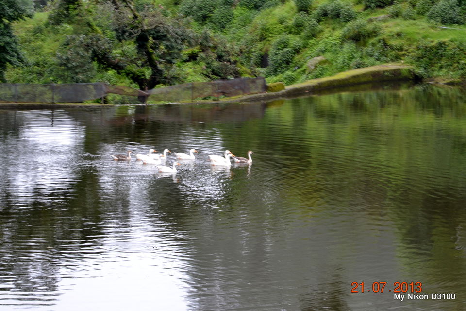 Photo of Lansdowne And Tarkeshwar: The Perfect Weekend Away From Delhi 1/13 by Aparajita