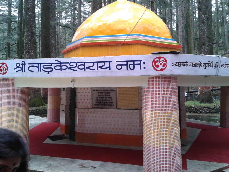 Photo of Lansdowne And Tarkeshwar: The Perfect Weekend Away From Delhi 3/13 by Aparajita