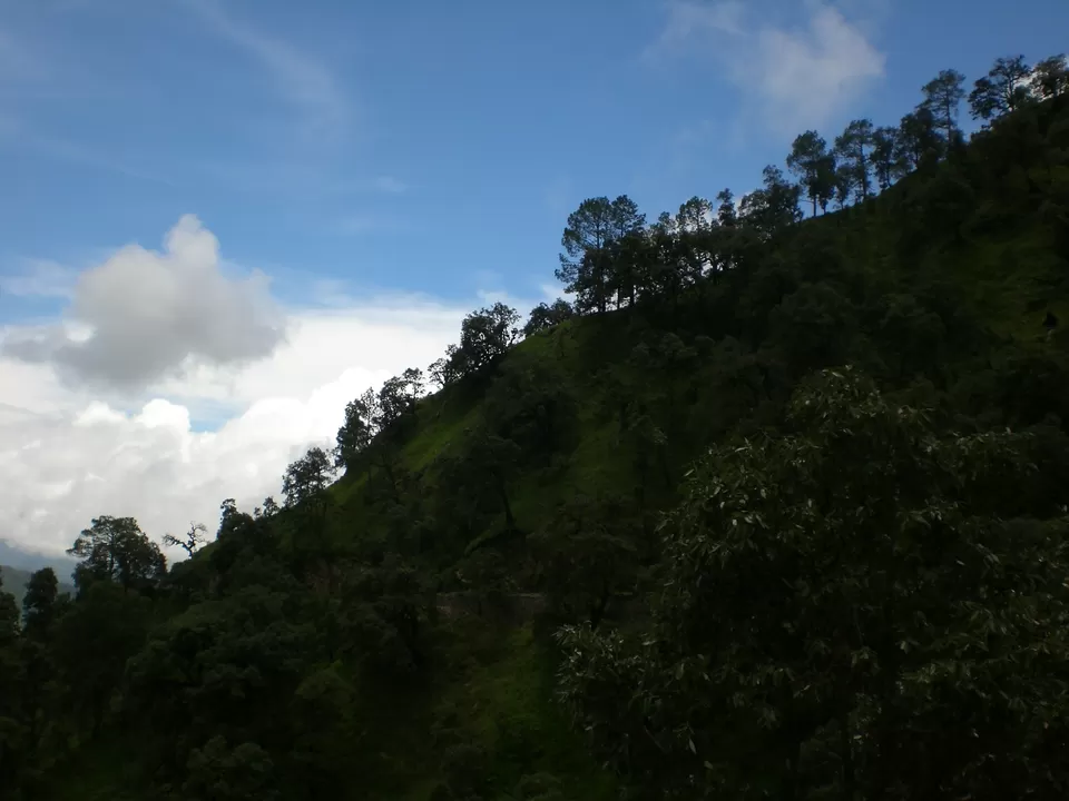 Photo of Tip N Top, National Highway 119, Lansdowne, Uttarakhand, India by Aparajita