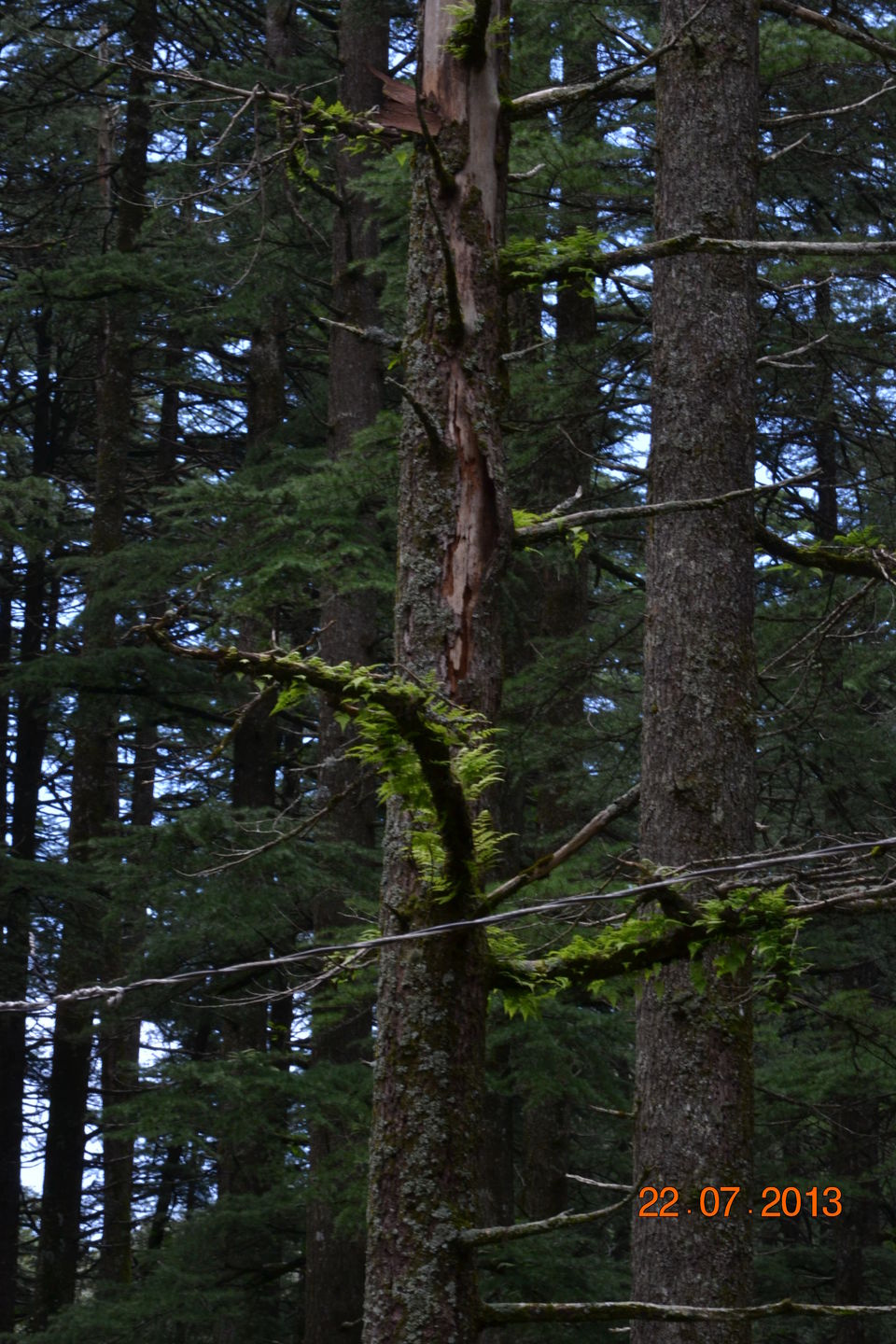 Photo of Lansdowne And Tarkeshwar: The Perfect Weekend Away From Delhi 13/13 by Aparajita