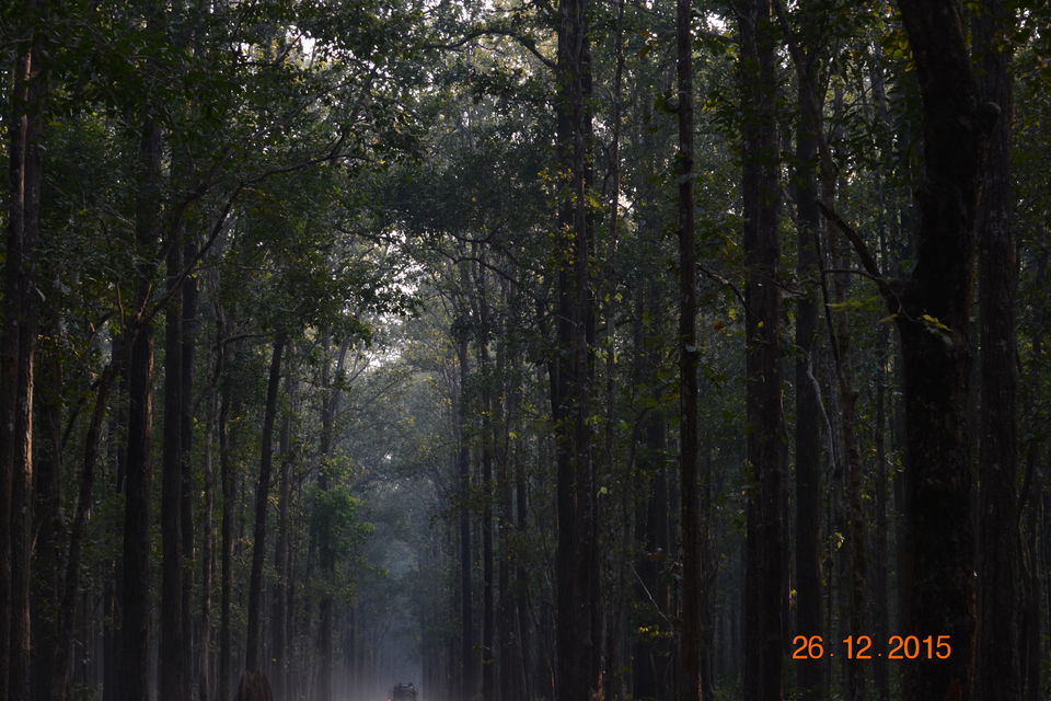 Photo of The Elephant Trail at Corbett National Park 10/12 by Aparajita