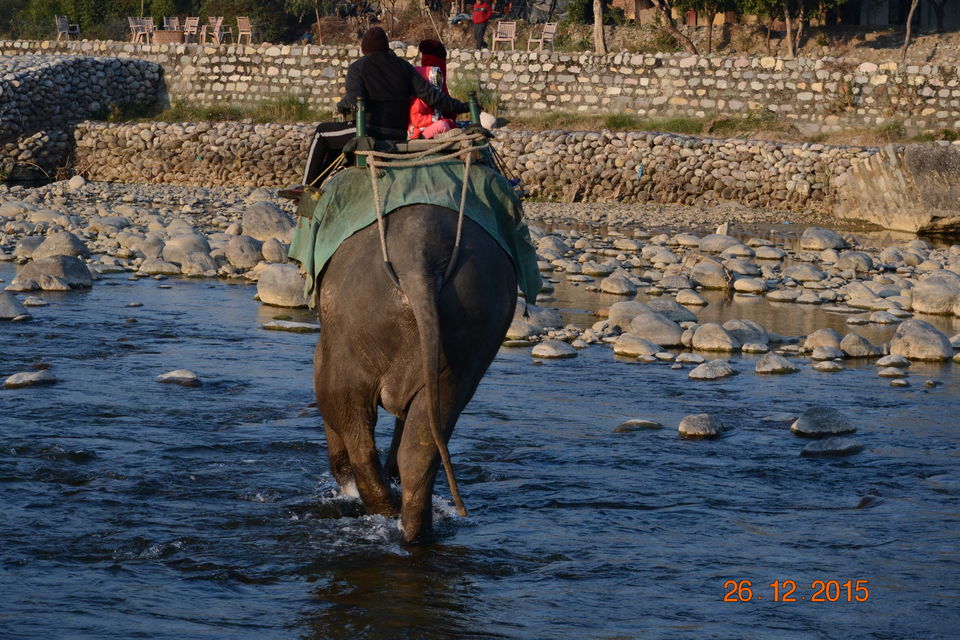Photo of The Elephant Trail at Corbett National Park 11/12 by Aparajita