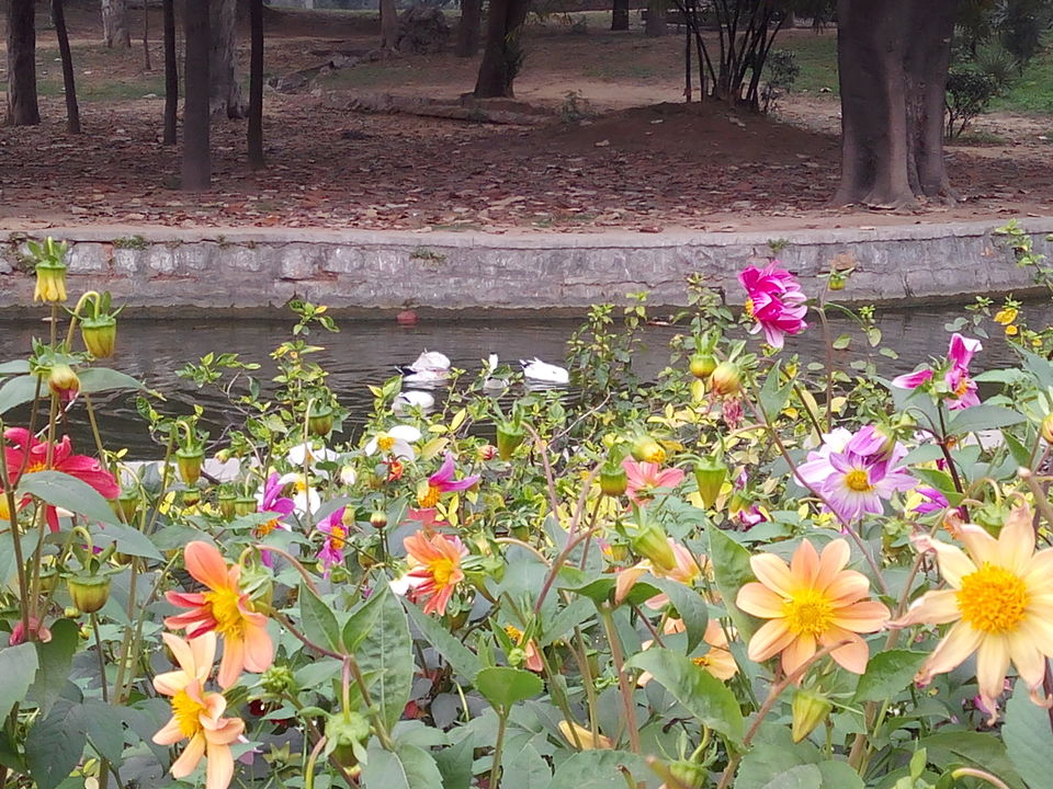 Photo of Lodhi Garden, Lodhi Road, New Delhi, Delhi, India by Aparajita
