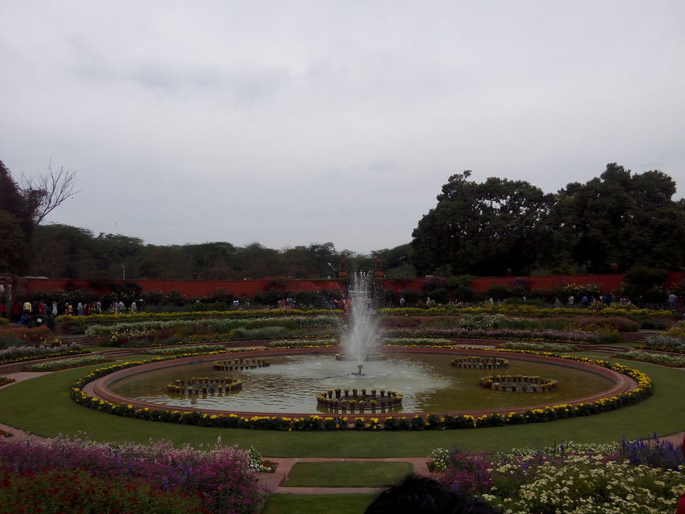 Photo of Mughal Garden, New Delhi, Delhi, India by Aparajita