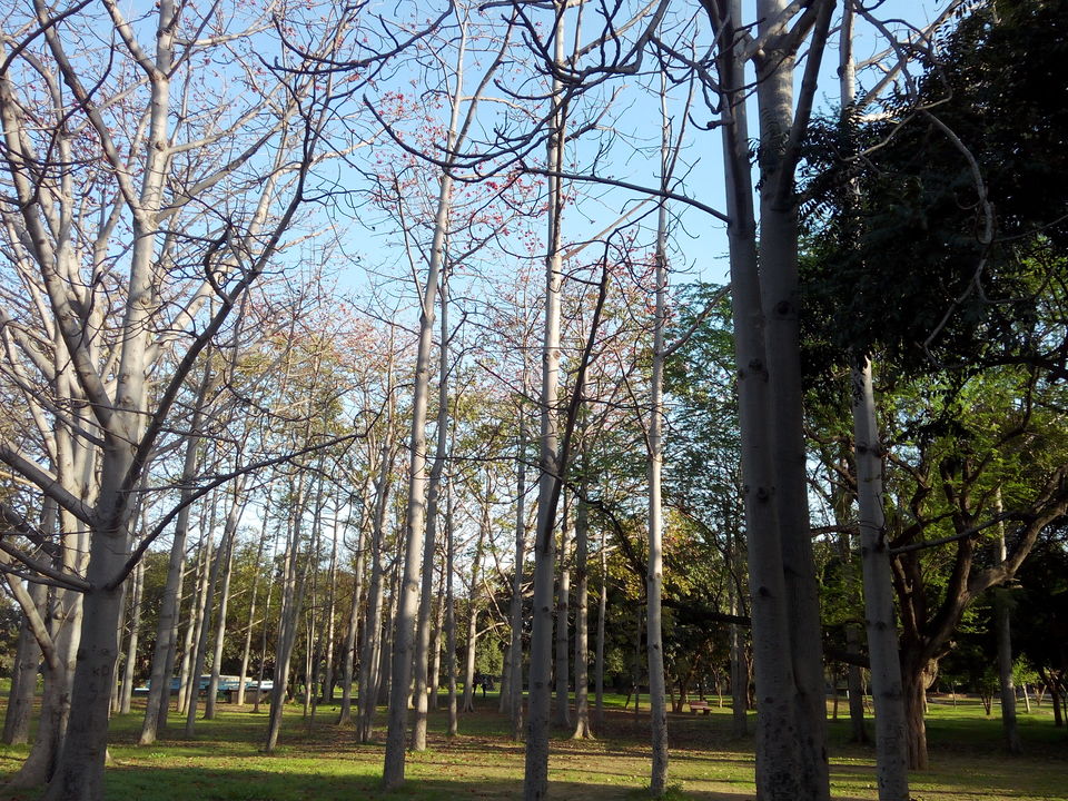 Photo of 5 Places to enjoy Delhi's Natural Beauty by Aparajita