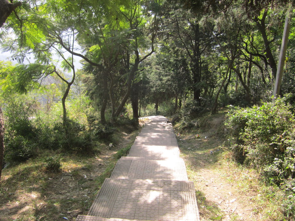 Photo of The Beauty at the end of the Tunnel: Barog 1/1 by Aparajita