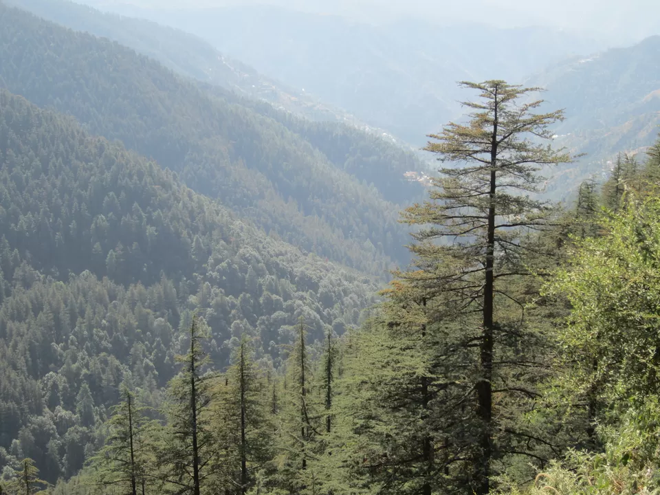 Photo of Barog, Himachal Pradesh, India by Aparajita