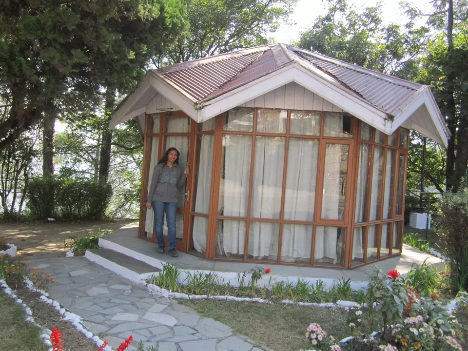 Photo of The Pinewood, Barog, Himachal Pradesh, India by Aparajita