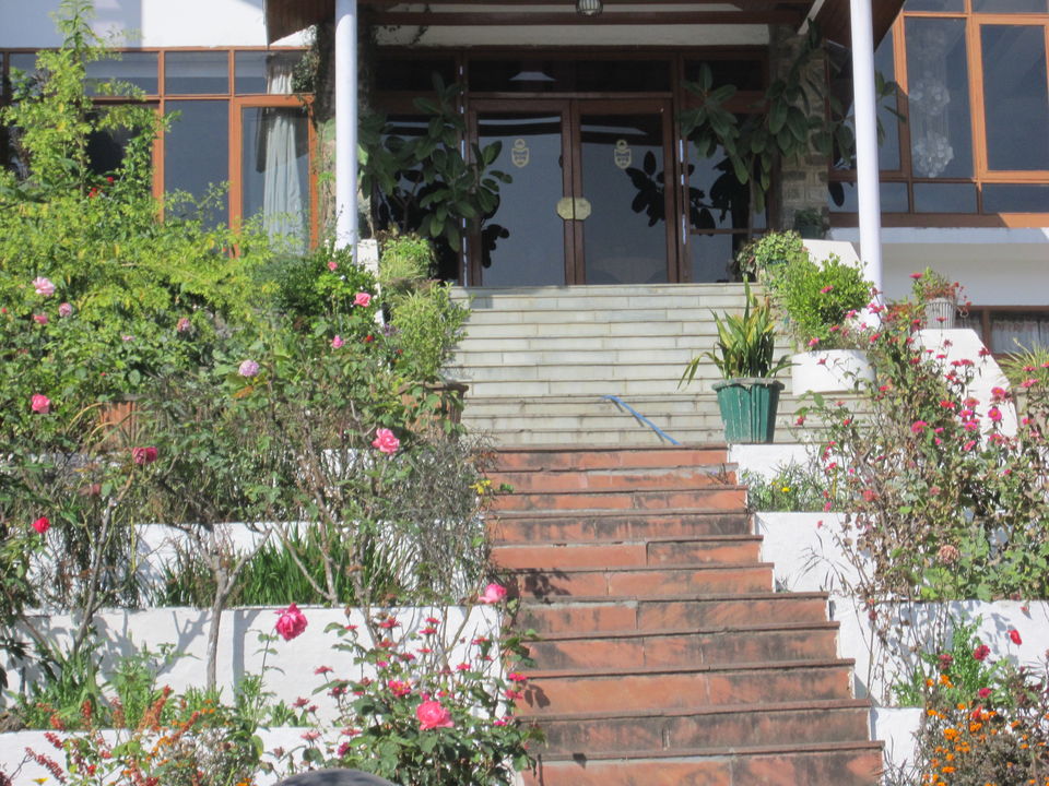 Photo of The Pinewood, Barog, Himachal Pradesh, India by Aparajita