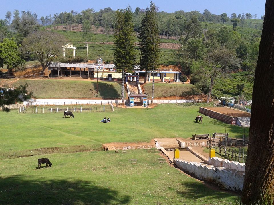 Photo of A tryst with the Nilgiris(Part 1) 8/15 by Aparajita
