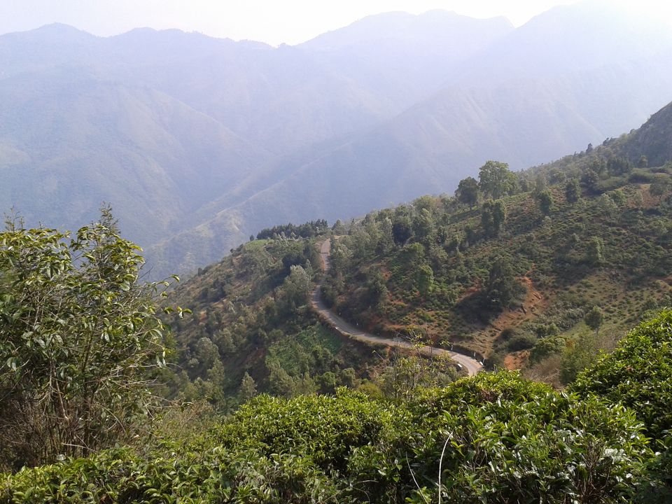 Photo of A tryst with the Nilgiris(Part 1) 9/15 by Aparajita