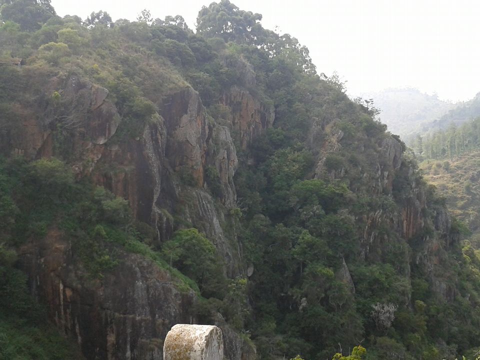 Photo of A tryst with the Nilgiris(Part 1) 11/15 by Aparajita