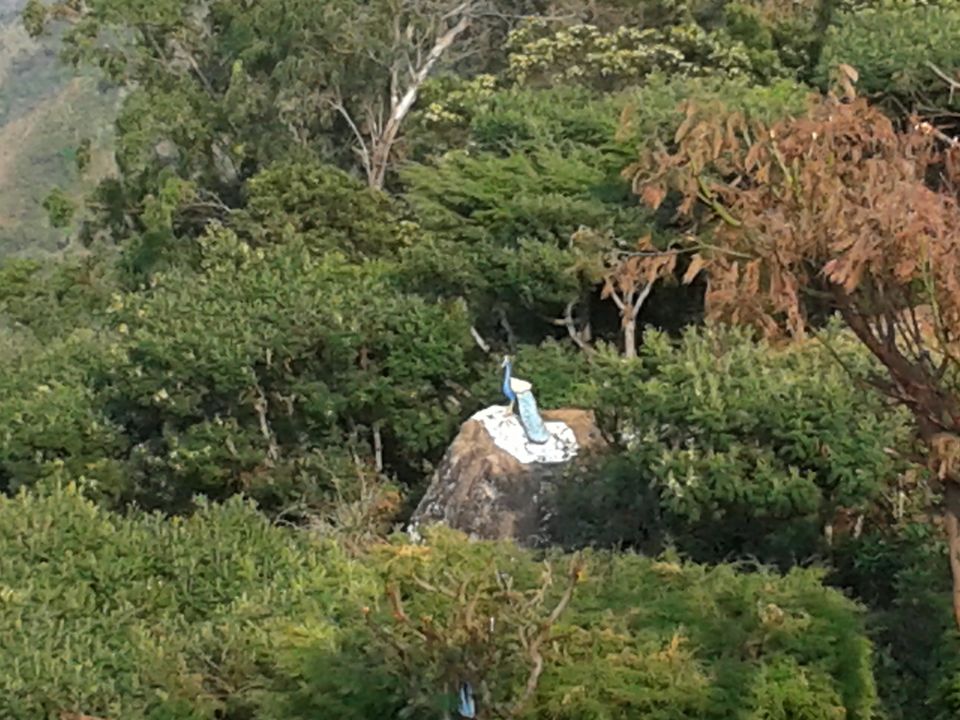 Photo of A tryst with the Nilgiris(Part 1) 13/15 by Aparajita
