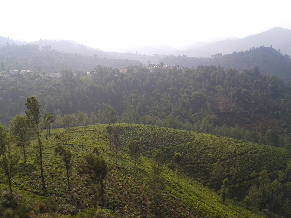 Photo of A tryst with the Nilgiris(Part 1) 14/15 by Aparajita