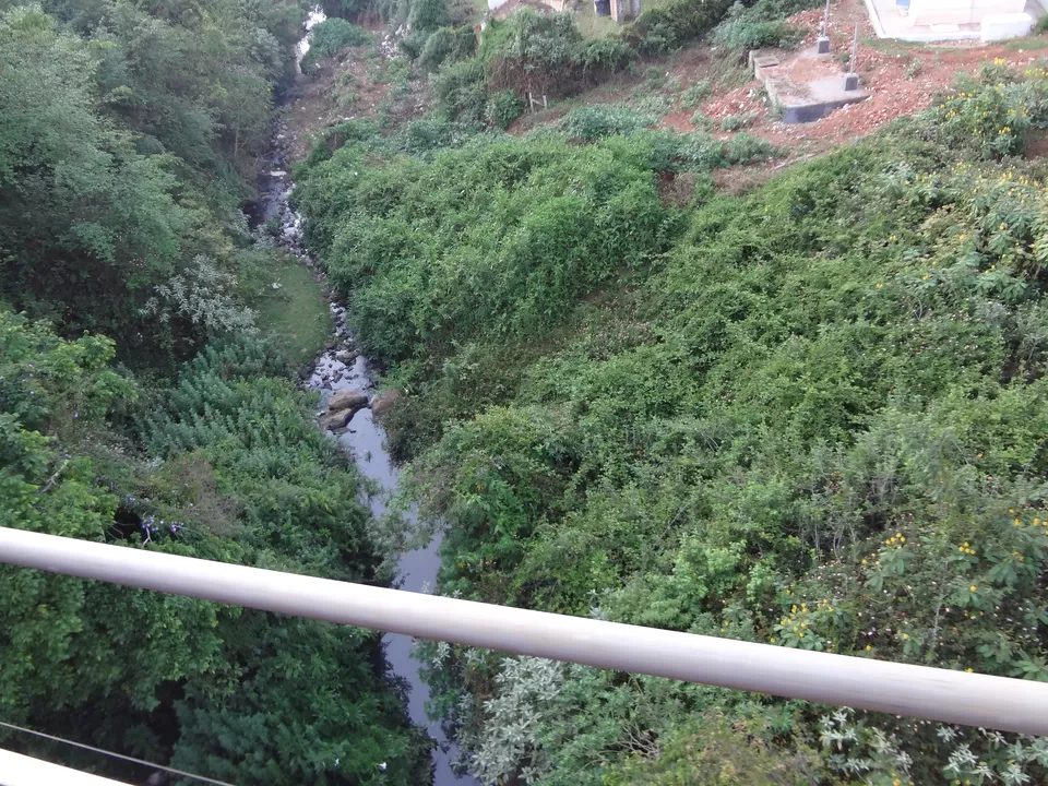 Photo of Coonoor, Tamil Nadu, India by Aparajita