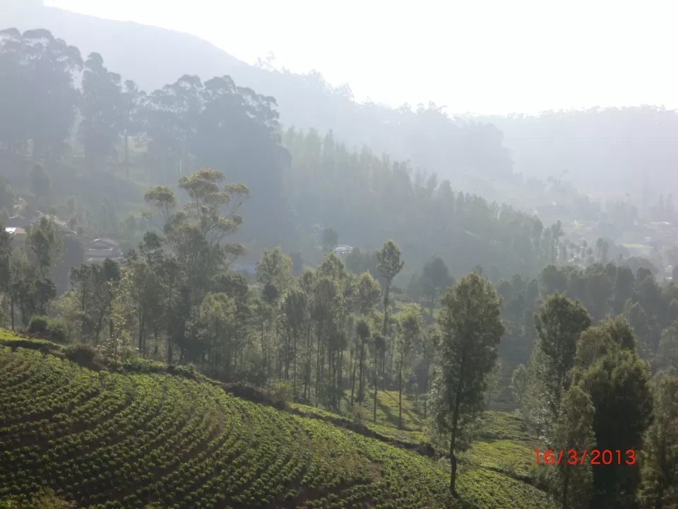 Photo of Coonoor, Tamil Nadu, India by Aparajita