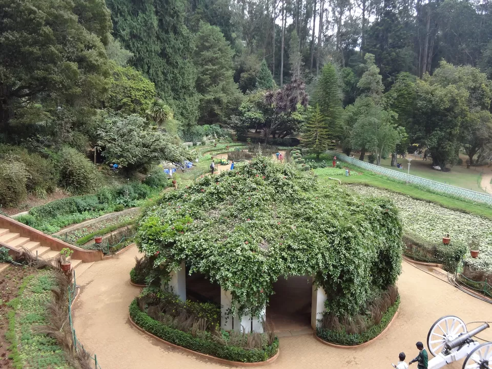Photo of Ooty Botanical Gardens, Ooty, Tamil Nadu, India by Aparajita