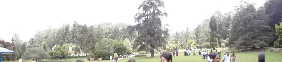 Photo of Ooty Botanical Gardens, Ooty, Tamil Nadu, India by Aparajita