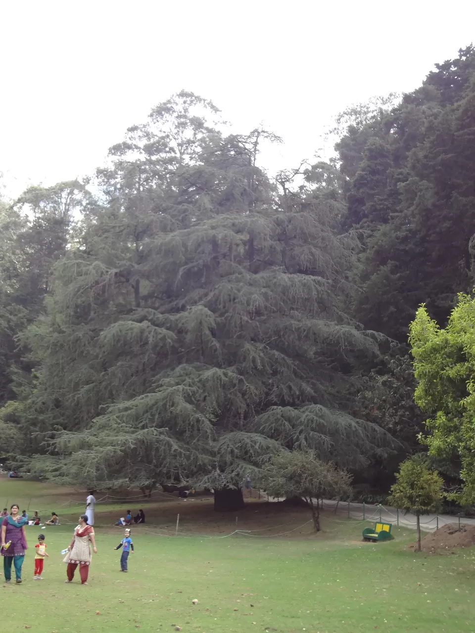 Photo of Ooty Botanical Gardens, Ooty, Tamil Nadu, India by Aparajita