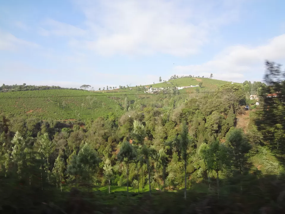 Photo of Coonoor, Tamil Nadu, India by Aparajita
