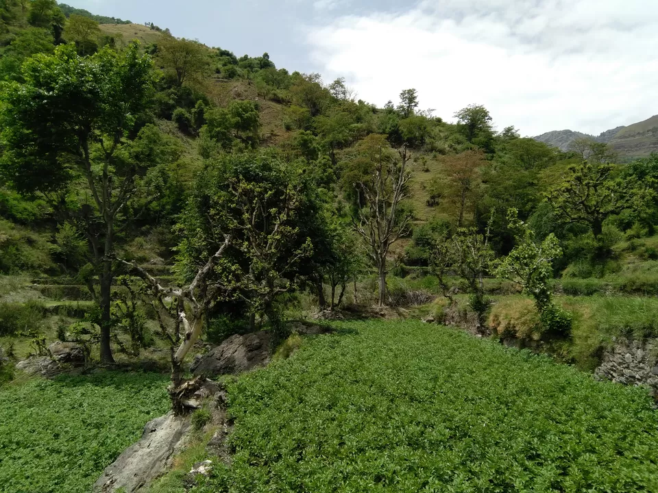 Photo of Tiger Fall -Chakrata, Kanaser Range, Uttarakhand, India by Aparajita