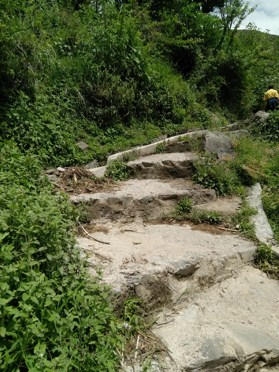Photo of Tiger Fall -Chakrata, Kanaser Range, Uttarakhand, India by Aparajita